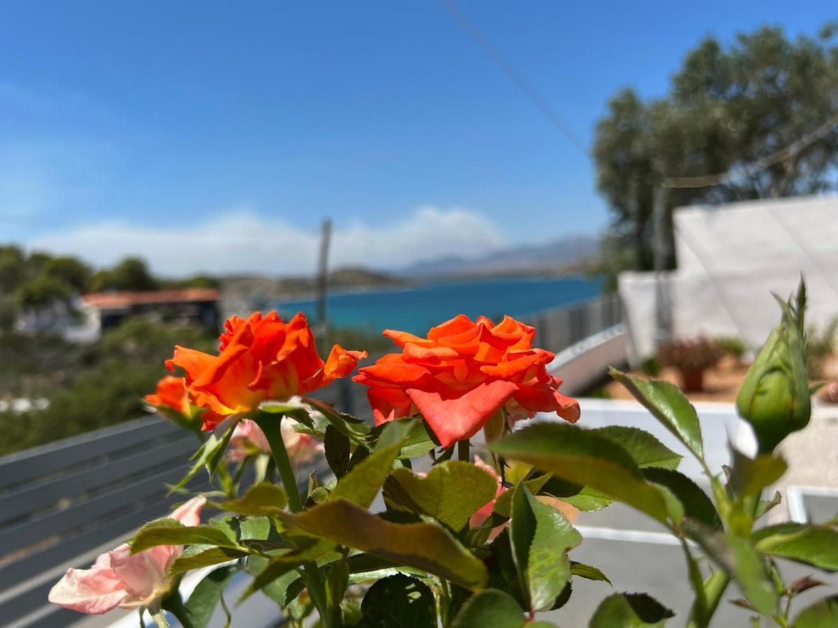 Oceanus Summer House Salamis Bagian luar foto