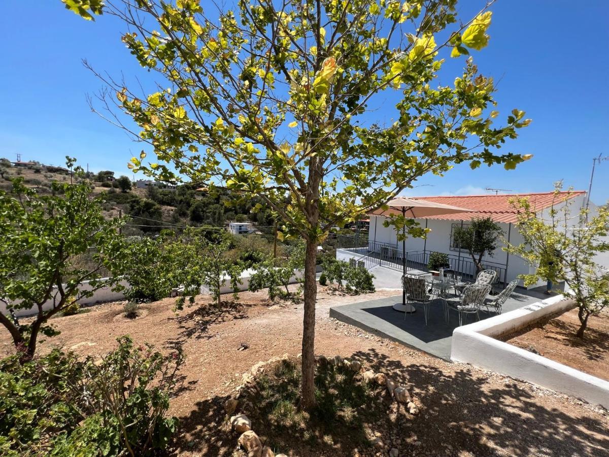Oceanus Summer House Salamis Bagian luar foto