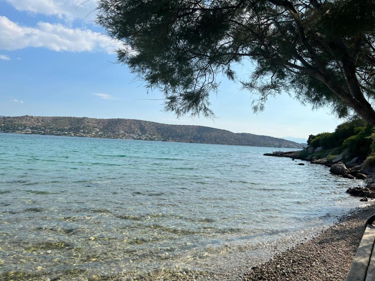 Oceanus Summer House Salamis Bagian luar foto